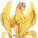 ���� ����, ������, 23 ���� - ��������� 13 ������ 2015 � ������ ���������