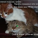���� ������, ���������, 49 ��� - ��������� 9 ������ 2015 � ������ ������ ��������