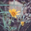 ���� ���������, ��������, 34 ���� - ��������� 8 ������ 2015 � ������ ����� 2�