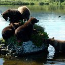 ���� ��������, ������ ���, 71 ��� - ��������� 14 ������� 2014 � ������ ���� ����������