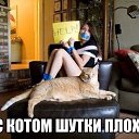 ���� ������, ������, 31 ��� - ��������� 13 ����� 2015 � ������ ���� ����������