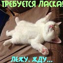 ���� ***������***, ��������, 56 ��� - ��������� 1 ������� 2015 � ������ ������ ��������