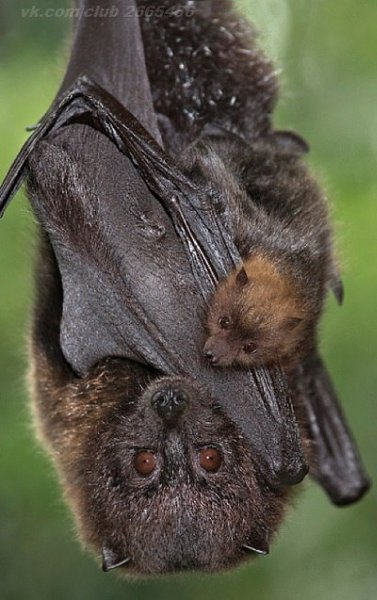   - 21  2015  12:01 - 4