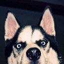 ���� ��������, ������, 33 ���� - ��������� 7 ������� 2015 � ������ �������