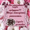 ���� ���������, �����, 85 ��� - ��������� 21 ����� 2015 � ������ ������ ��������