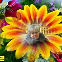 ���� �����*, ������, 59 ��� - ��������� 8 ����� 2015 � ������ ���� ����������