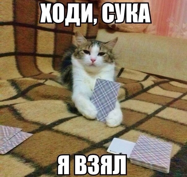    :-) - 1  2015  05:05