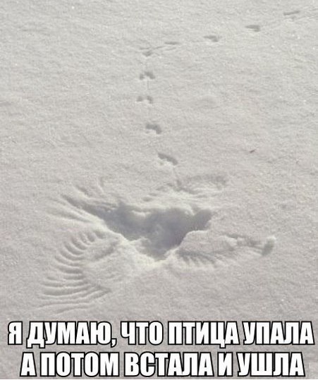 �������� ������ � ������ - 27 ������ 2015 � 01:40