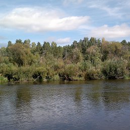 ���� ����, ������, 55 ��� - ��������� 4 ������ 2015