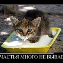 ���� �������, ����������, 67 ��� - ��������� 3 ����� 2015 � ������ ���� ����������