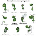  , -, 51  -  19  2015   