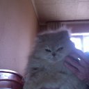 ���� �����, �������, 60 ��� - ��������� 22 ������ 2015 � ������ ���� ����������