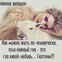 ���� ���������, ������ - ��������� 21 ������ 2015 � ������ ������ ��������