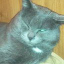 ���� ��������, ����� - ��������� 26 ������ 2015 � ������ ���� ����������