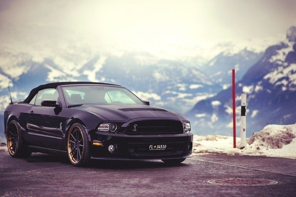 Shelby GT500 - 3