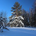 ����� � ������ ���� ��������! �� ������� ���� ����������