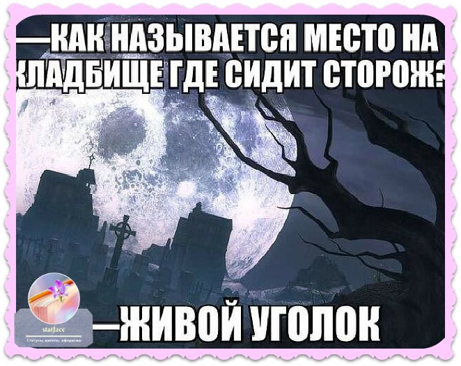 Как называется место на кладбище где сидит сторож. Как называется место на кладбище где сидит сторож. Охрана объектов. Где сидит сторож как называется. Аххаха цитаты.