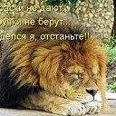 ���� �������, ������ - ��������� 24 ������� 2014 � ������ ������� ���������� !�