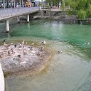  Nadiusha Fedorovna, , 81  -  20  2014    