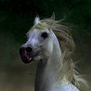 ���� Bulat, ������� - ��������� 16 ������� 2015 � ������ ���� ����������