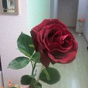 ���� ������, ��� - ��������� 26 ������� 2015 � ������ ���� ����������