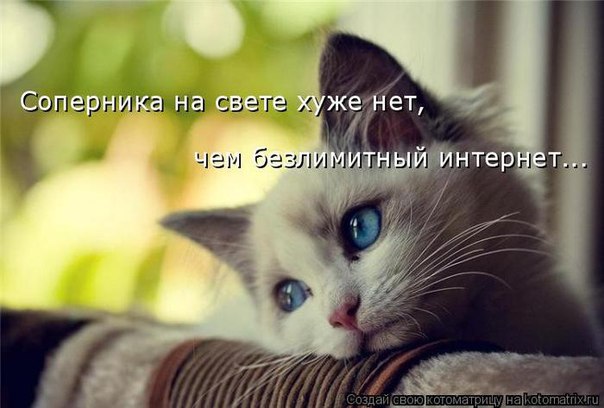  Ѩ  .   .    ...