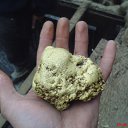 ���� �������, ���, 62 ���� - ��������� 2 ������� 2015 � ������ ���� ����������