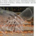 ���� ~������~, ��������� - ��������� 24 ������� 2014 � ������ ������ ��������