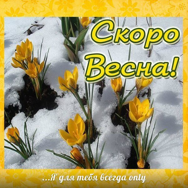 Февраль запАх весной, дни стали всё длинней. И веселей чирикает проказник- воробей. Всё чаще ...