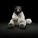 ���� �������, ���������� - ��������� 10 ����� 2015 � ������ ������