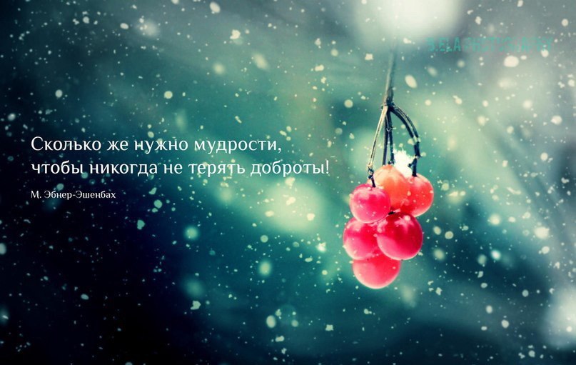   - 19  2015  18:43