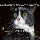 ���� ������, ����� - ��������� 24 ������ 2015 � ������ ������ ��������