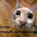 ���� ������, �����-���������, 50 ��� - ��������� 24 ������� 2015 � ������ ������ ��������