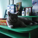 ������ ��������. �� ������� ���� ����������