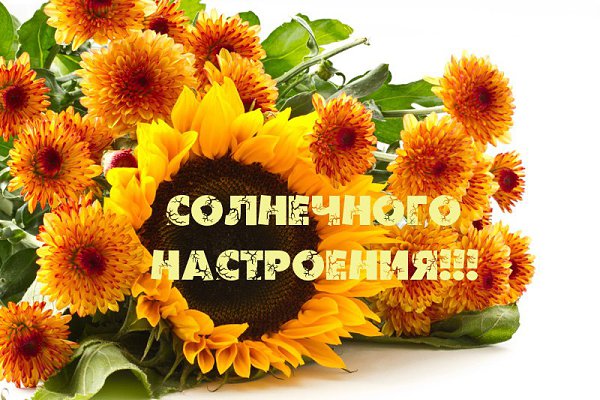 Желаю Вам от всей души здоровья доброго навечно, любви хорошей бесконечной, большой надежды, крепкой ...