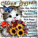 ���� E����, ��������� - ��������� 11 ������� 2015 � ������ ������ ��������