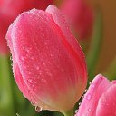 ���� �����, �����, 58 ��� - ��������� 2 ������� 2015 � ������ ������..������ ���������!�