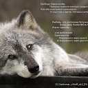 ���� �����, ������, 46 ��� - ��������� 14 ������� 2015 � ������ ���� ����������