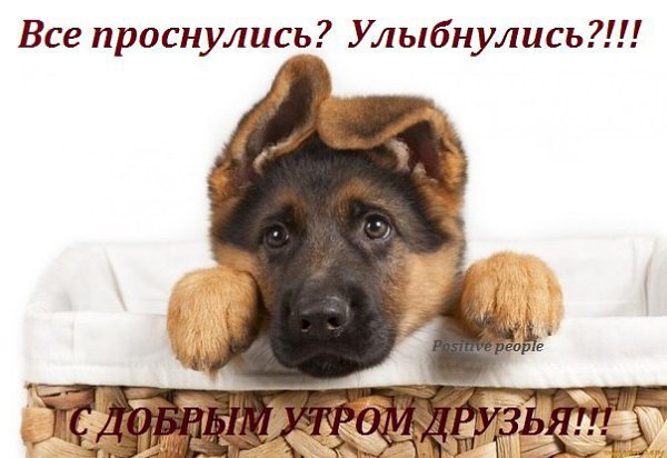  .   ?        -  !    ...