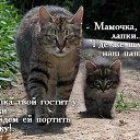 ���� ��������� (Super Star), �������� - ��������� 17 ������ 2015 � ������ ������ ��������