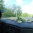 ���� �����, ���, 40 ��� - ��������� 25 ������� 2015