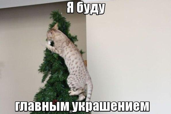  -  - 25  2014  01:37