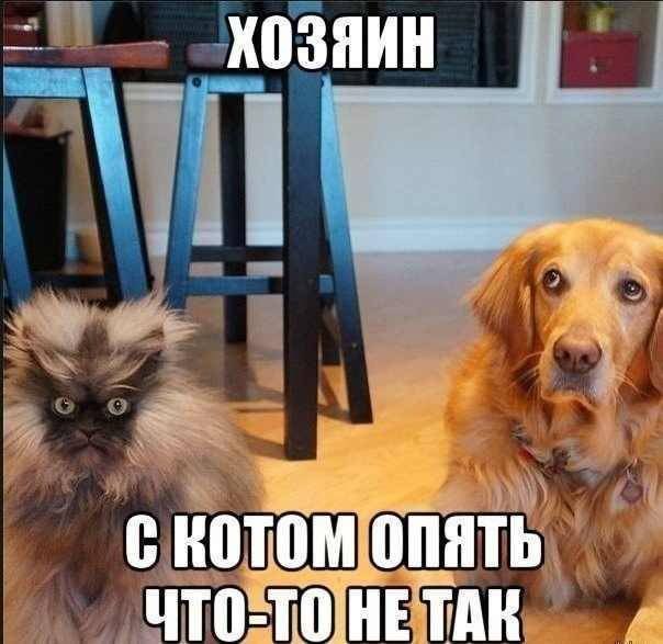   | , ,  - 21  2015  07:03