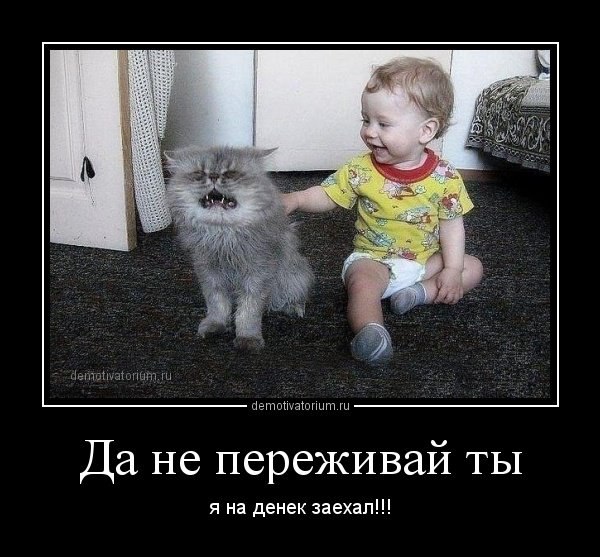   ,  : <a href=