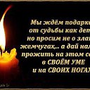 ���� �����, �������� - ��������� 3 ����� 2015 � ������ ������ ��������