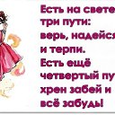 ���� (����������), ����-��������� - ��������� 31 ����� 2015 � ������ ������ ��������