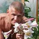 ���� Stjopa, ����, 58 ��� - ��������� 15 ����� 2015 � ������ ���� ����������