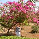 ���� ������, ������ - ��������� 21 ������� 2014 � ������ ���� ����������