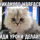 ���� T�����, ����� - ��������� 7 ����� 2015 � ������ ������ ��������