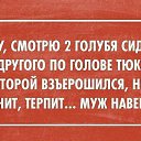  , -, 67  -  9  2015   1